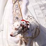 image: Image from the photoset &lsquo;longwy (iv)&rsquo;.