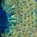 Image: Fifth image from the photoset 'longwy (x)'.