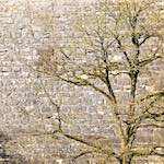 Image: Second image from the photoset 'longwy (xv)'.