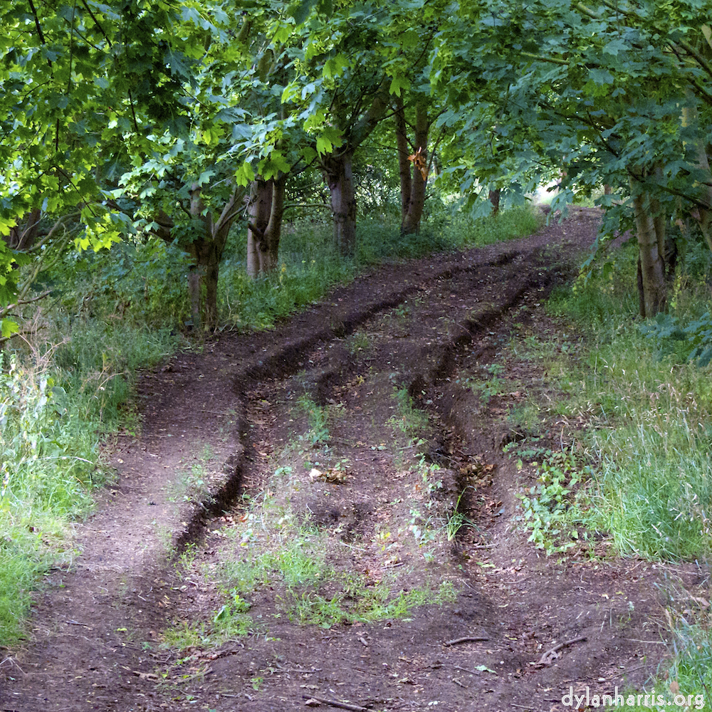 Image: Image 'rushden park 3'.