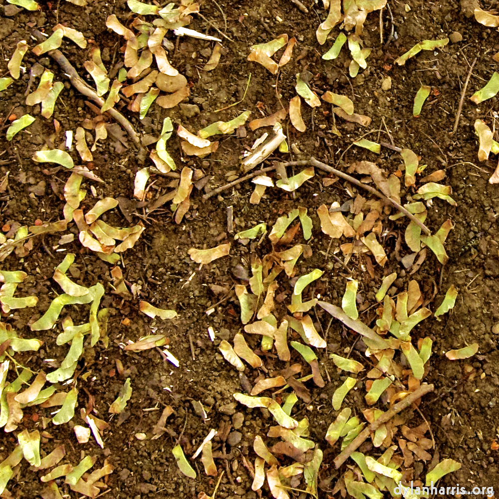 Image 'rushden park 6'.