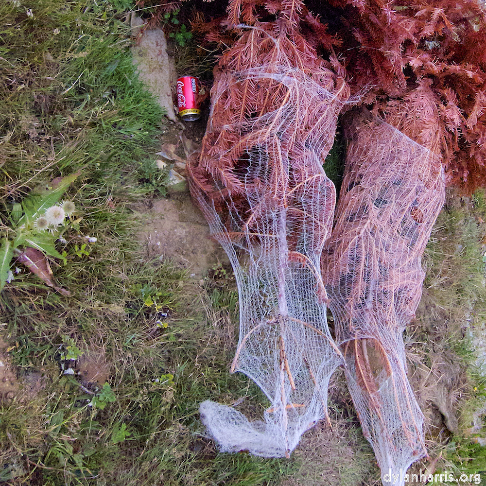 Image 'rushden park 9'.