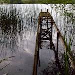 Second image from the photoset 'rushden park'.