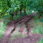 Third image from the photoset 'rushden park'.