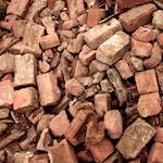 Fourth image from the photoset 'rushden park'.