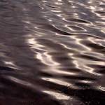 Eighth image from the photoset 'rushden park'.