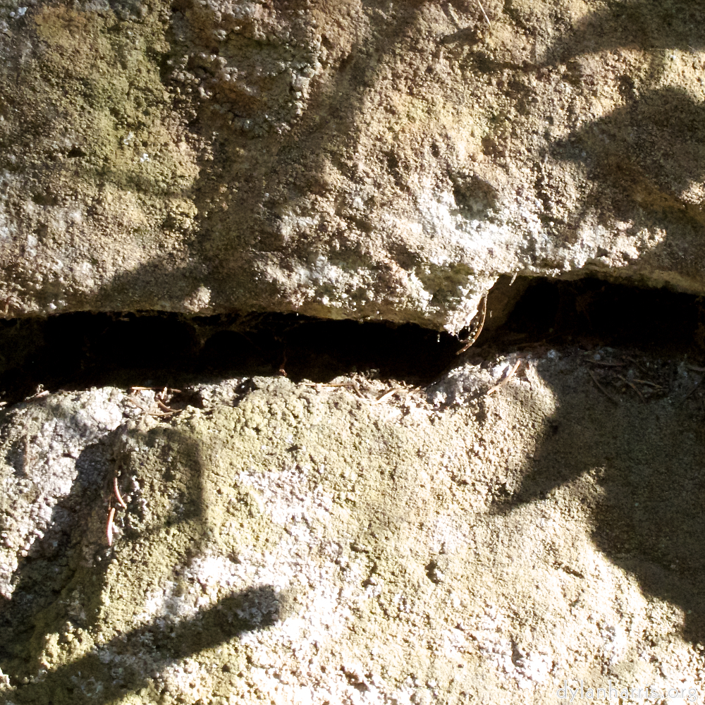 Image 'way to work (viii) 2'.