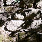 First image from the photoset 'way to work (viii)'.