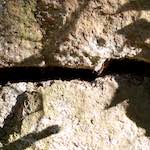 Second image from the photoset 'way to work (viii)'.