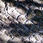 Third image from the photoset 'way to work (viii)'.