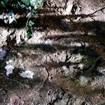 Sixth image from the photoset 'way to work (viii)'.