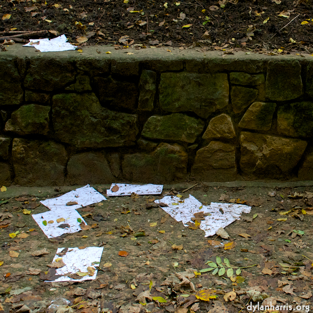 Image 'graveyard (i) 2'.