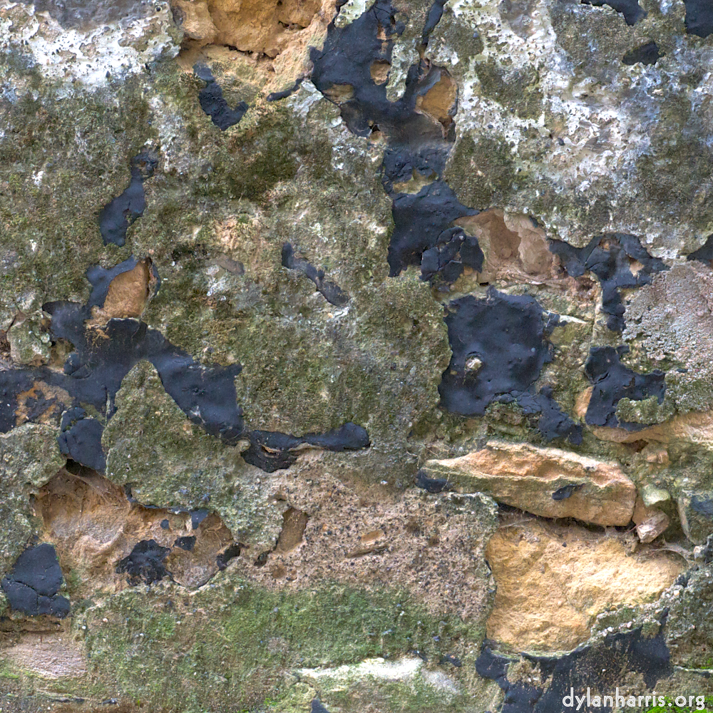 Image 'graveyard (i) 3'.