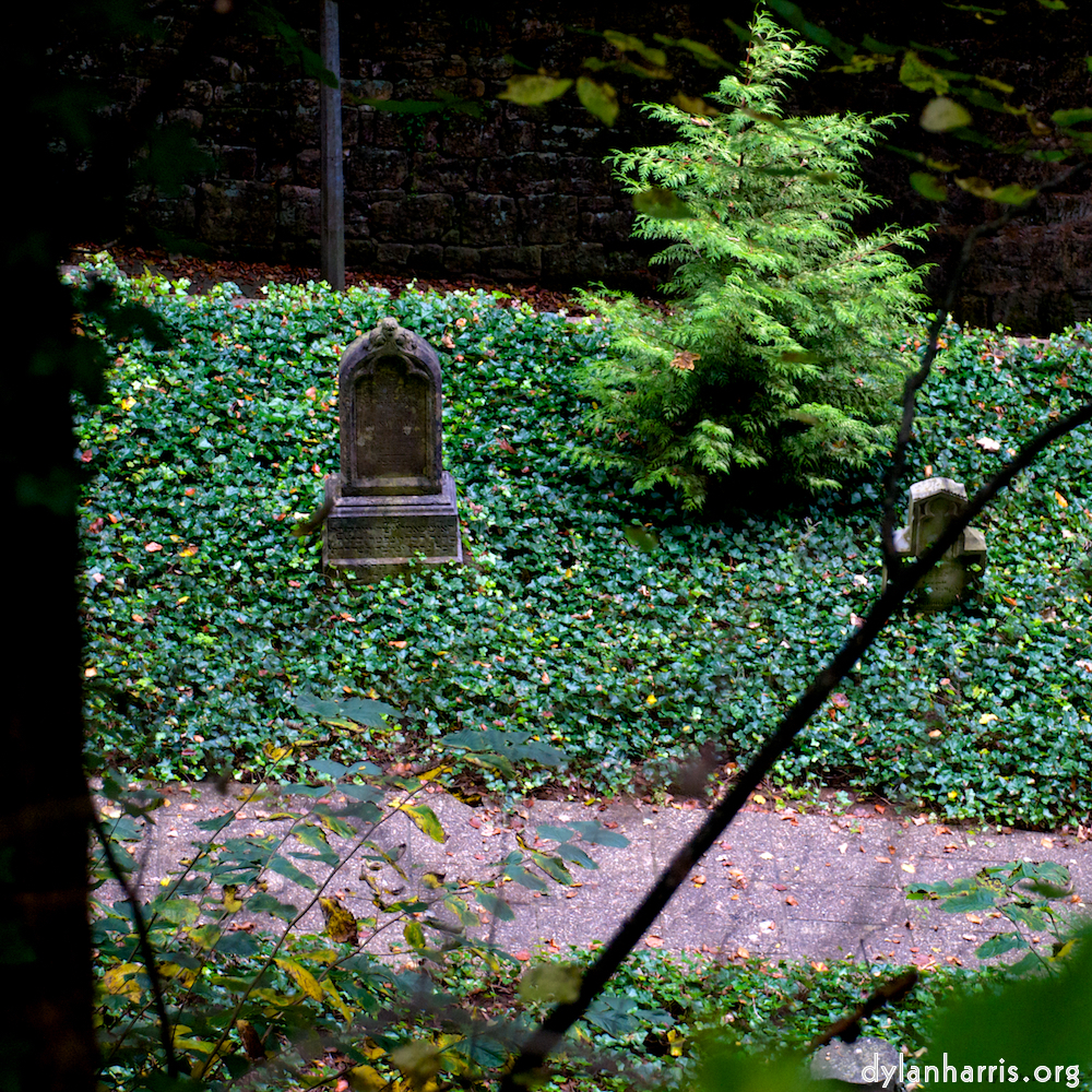 Image: Image 'graveyard (i) 4'.