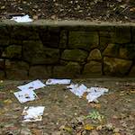 Second image from the photoset 'graveyard (i)'.