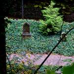 Fourth image from the photoset 'graveyard (i)'.