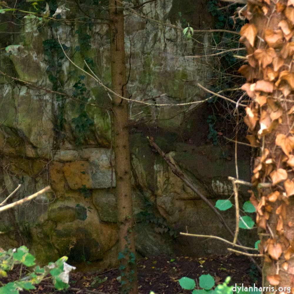 Image 'graveyard (ii) 2'.