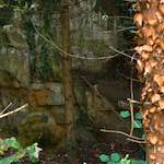 Second image from the photoset 'graveyard (ii)'.