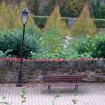 Third image from the photoset 'graveyard (ii)'.