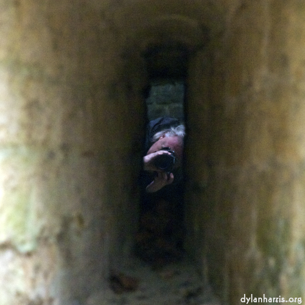 image: This is &lsquo;parc (xi) 2&rsquo;.