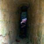 image: Image from the photoset &lsquo;parc (xi)&rsquo;.