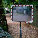 image: Image from the photoset &lsquo;parc (xi)&rsquo;.