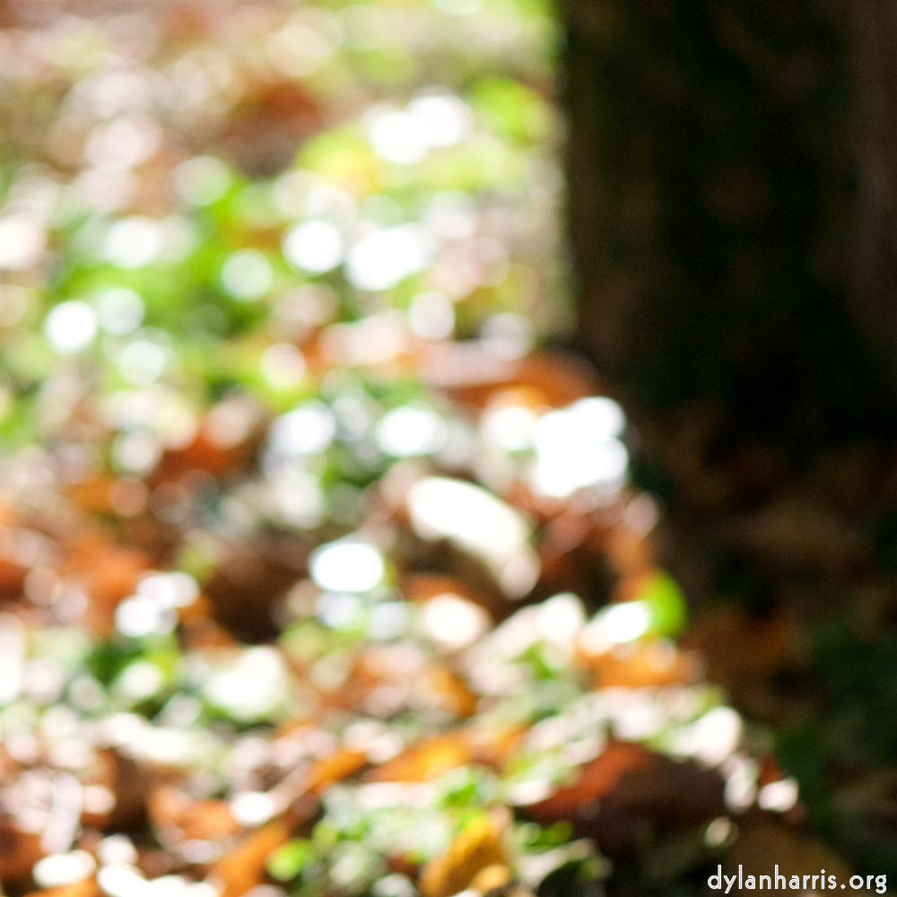 Image: Image 'parc (xxxiii) 3'.