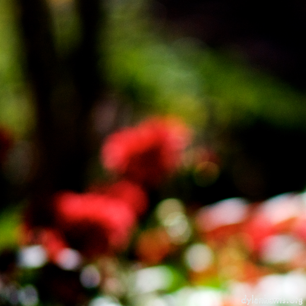 image: This is &lsquo;park (xxxiii) 4&rsquo;.