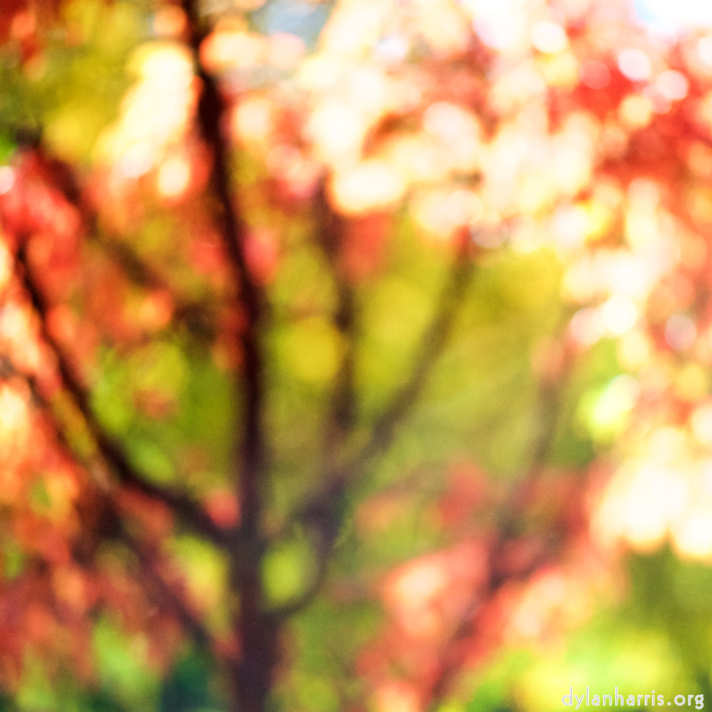 image: This is &lsquo;park (xxxiii) 6&rsquo;.