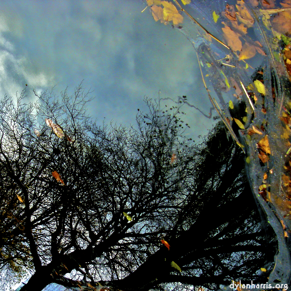 Image 'water (iv) 3'.