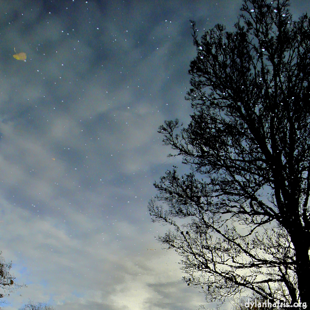 Image 'water (iv) 6'.