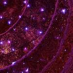 First image from the photoset 'water (iv)'.