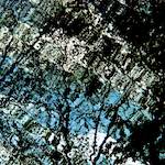 Second image from the photoset 'water (iv)'.