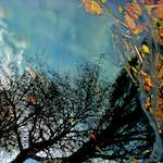 Third image from the photoset 'water (iv)'.