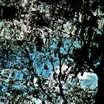 Fifth image from the photoset 'water (iv)'.