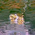 Fifth image from the photoset 'ghent (ix)'.