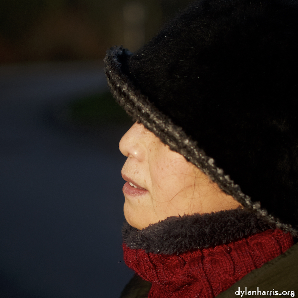 Image: Image 'L (x) 2'.