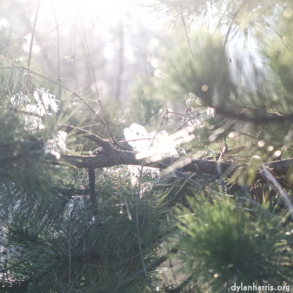 Image: Image 'L (x) 4'.