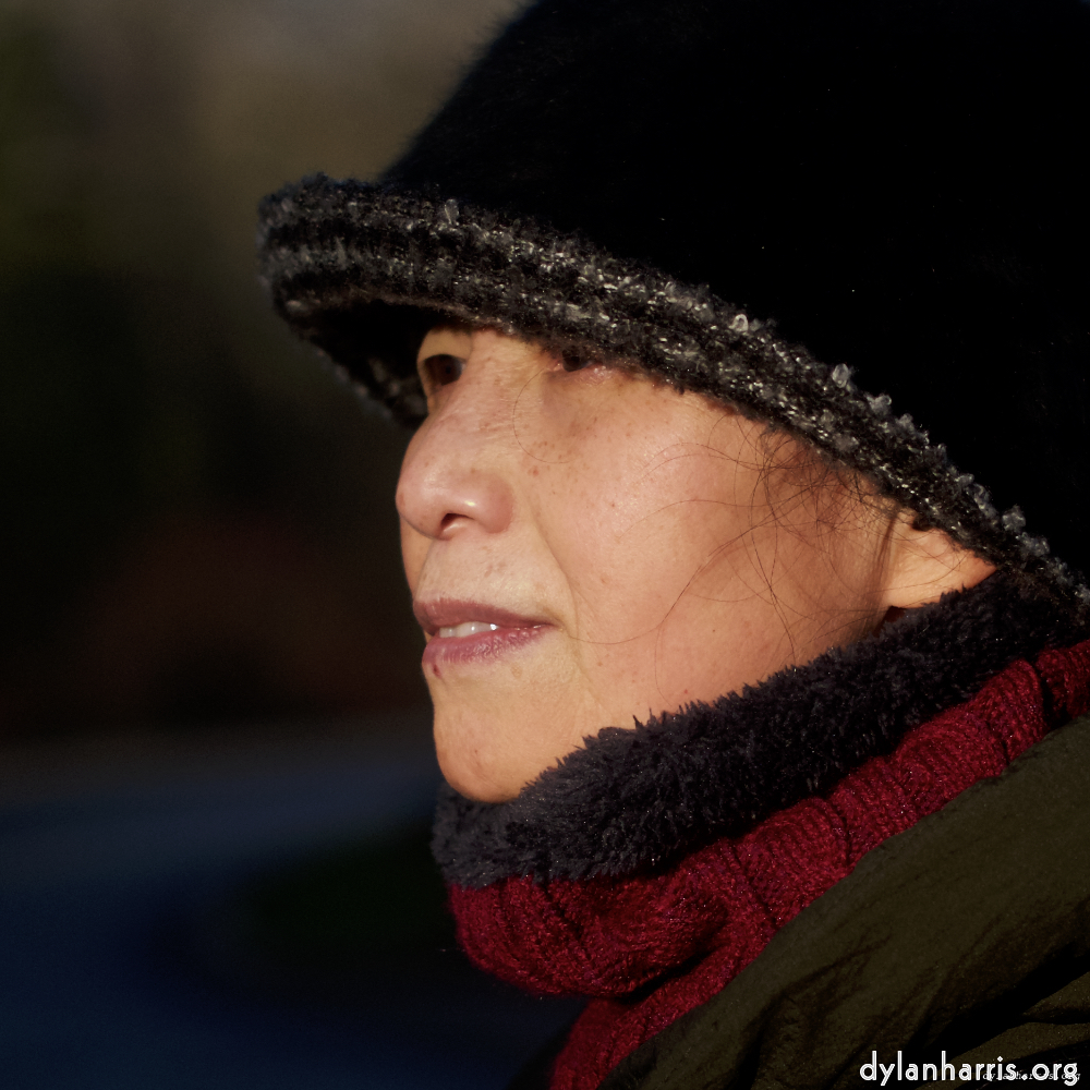 Image: Image 'L (x) 5'.