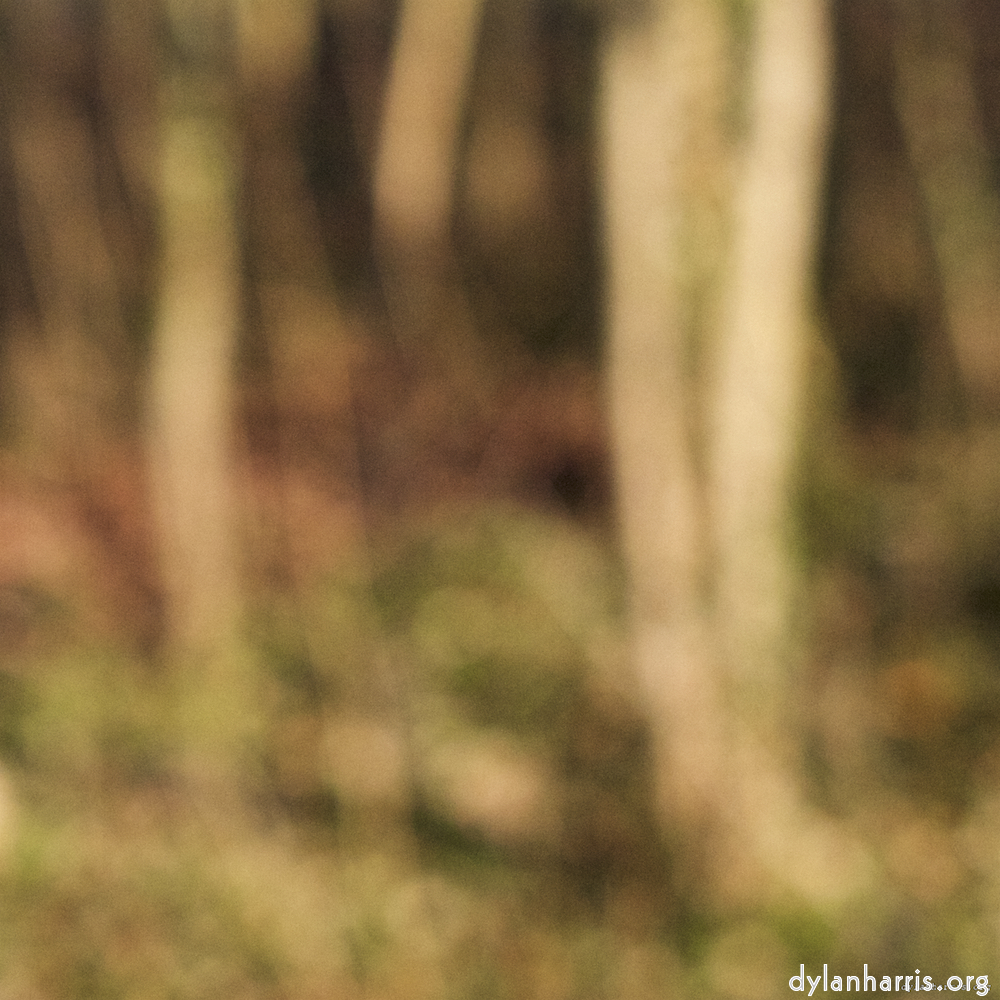 Image: Image 'L (x) 6'.