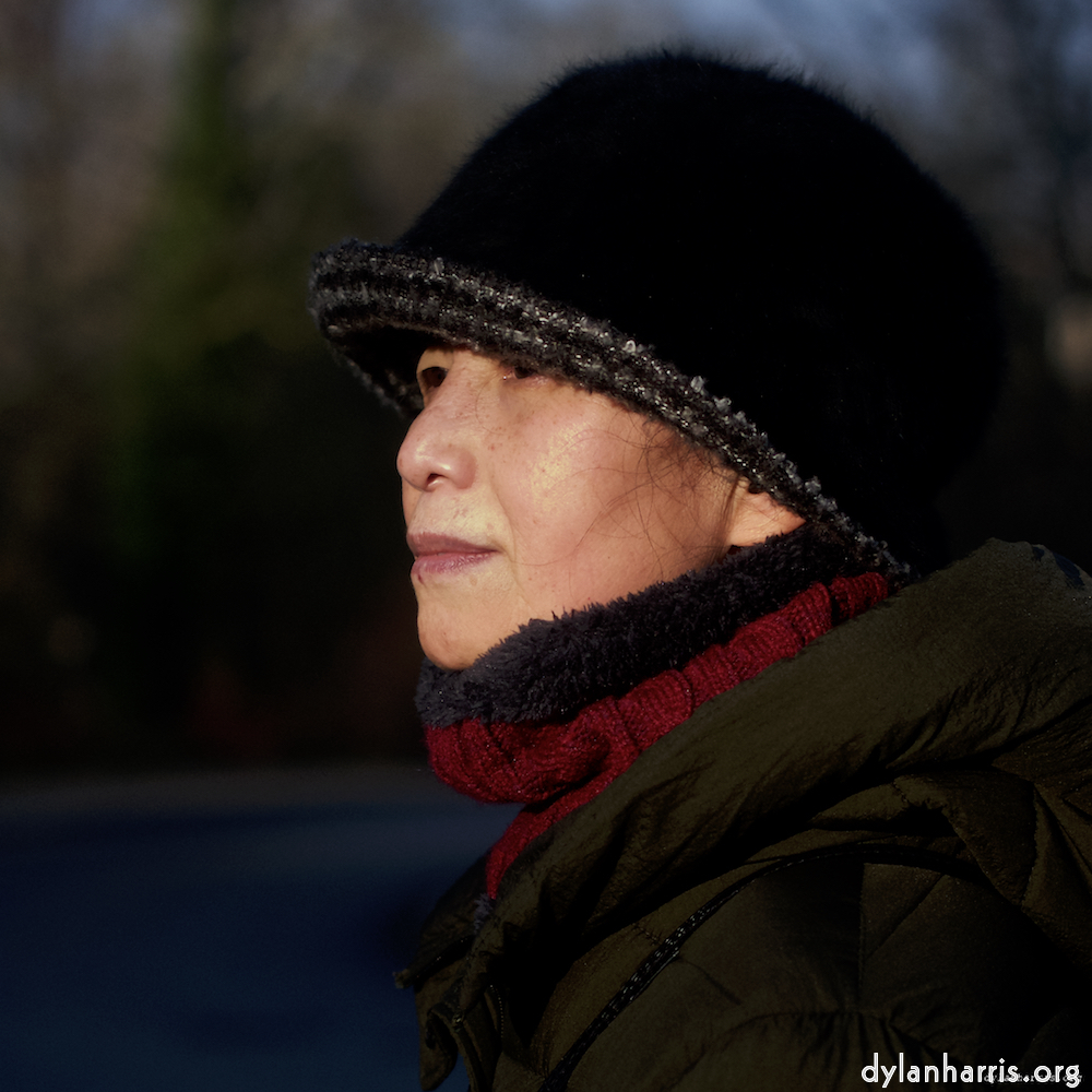 Image: Image 'L (x) 7'.