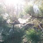 Image: Fourth image from the photoset 'L (x)'.