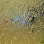 Third image from the photoset 'la d&eacute;fense (ii)'.