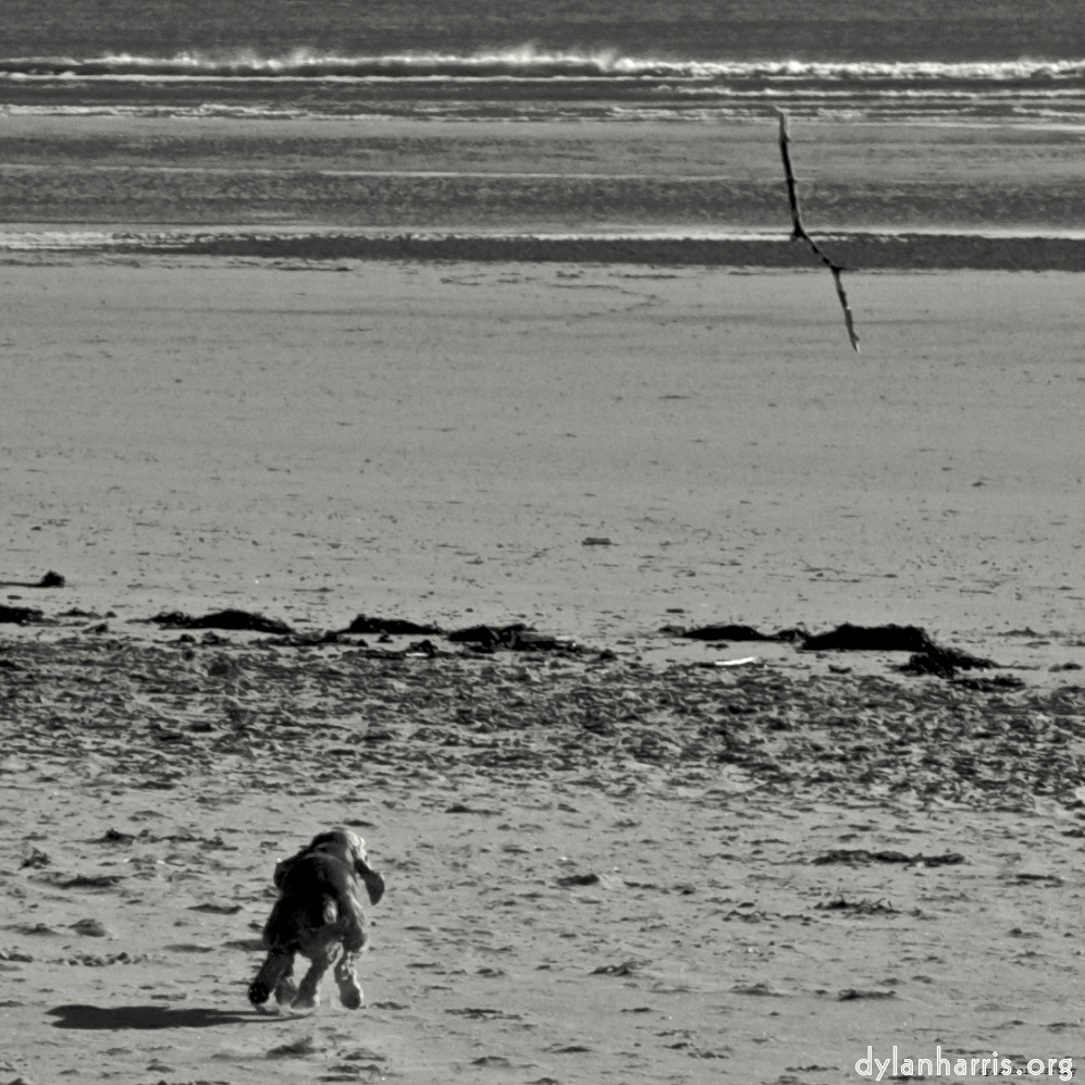 Image 'alnmouth (i) (RIP) 1'.
