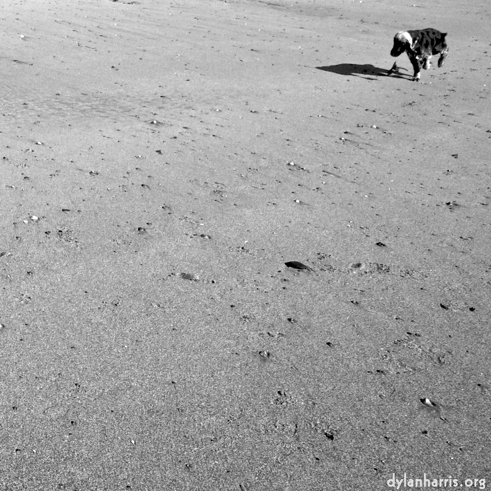 Image: Image 'alnmouth (i) (RIP) 11'.