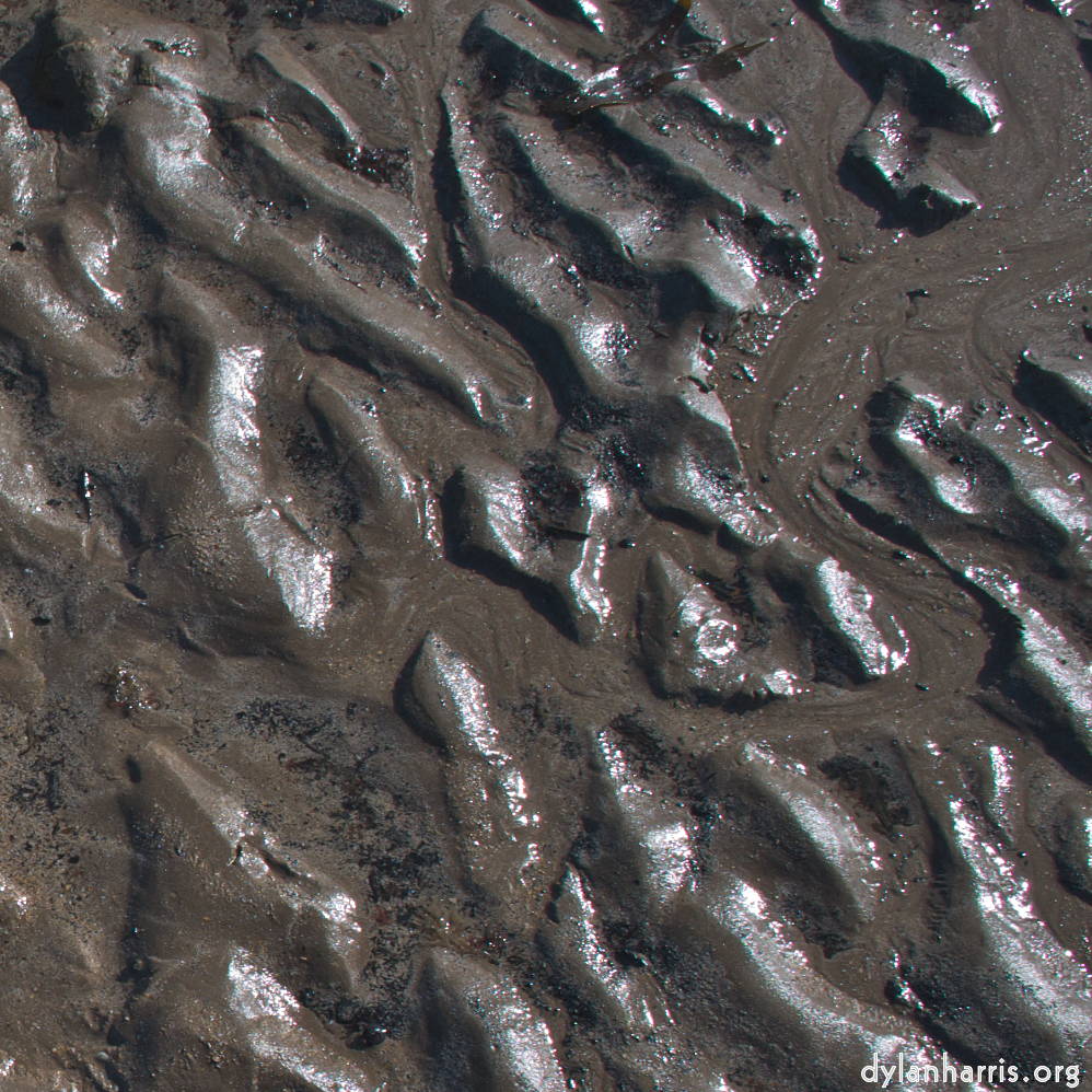 Image 'alnmouth (i) (RIP) 2'.