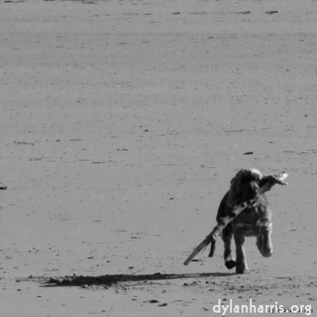 Image 'alnmouth (i) (RIP) 3'.