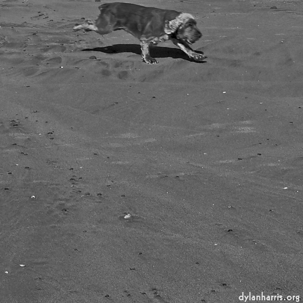 Image 'alnmouth (i) (RIP) 6'.