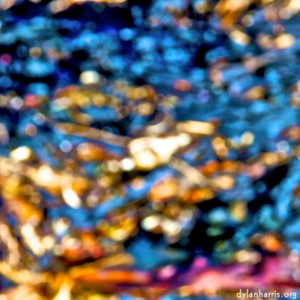 Image: Image 'alnmouth (i) (RIP) 7'.