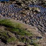 Tenth image from the photoset 'alnmouth (i) (RIP)'.